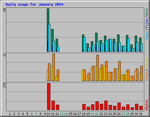 Daily usage for January 2024
