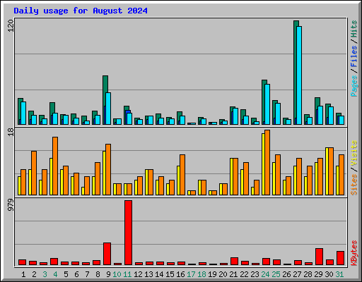Daily usage for August 2024