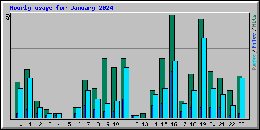 Hourly usage for January 2024