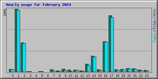 Hourly usage for February 2024