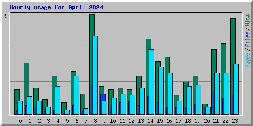 Hourly usage for April 2024