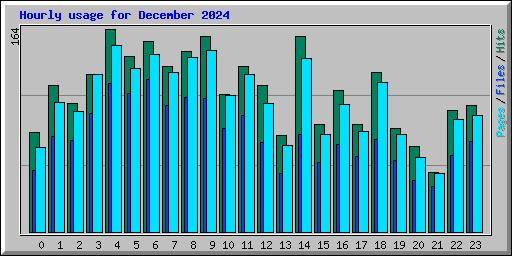 Hourly usage for December 2024