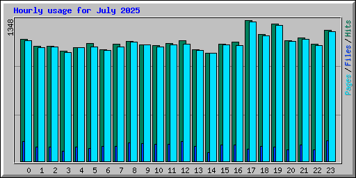 Hourly usage for July 2025