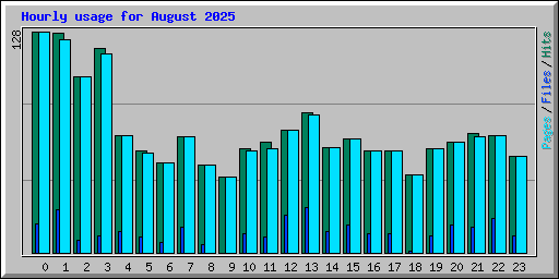 Hourly usage for August 2025