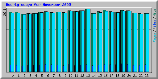 Hourly usage for November 2025