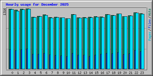 Hourly usage for December 2025